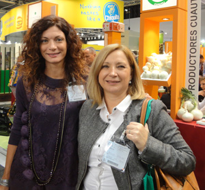 MSC SPAIN COM msc spain com:
